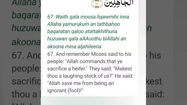 Surah AL-Baqarah Ayat 62-71 with Urdu and English translation смотреть онлайн