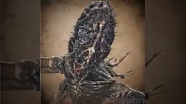 Bloodborne OST: Amygdala Phase 1 - Extended смотреть онлайн