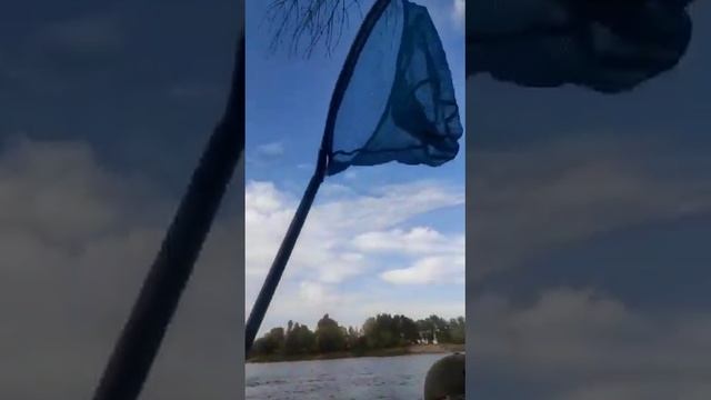 Отзыв покупателя Держатели для спиннинга #2 смотреть онлайн