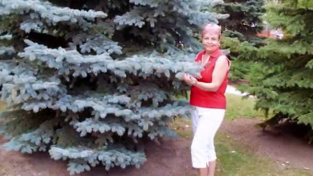 Геническ 2ч. Лидерские каникулы с NSP смотреть онлайн