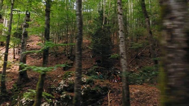 Meet DJI Mini 4 Pro смотреть онлайн