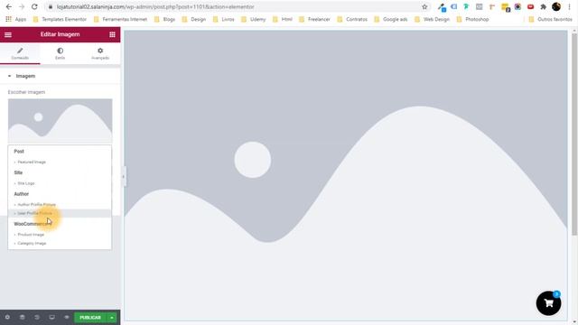 Como CUSTOMIZAR DASHBOARD Do Wordpress de Forma PROFISSIONAL (Entregue Assim P/ O Cliente) смотреть онлайн