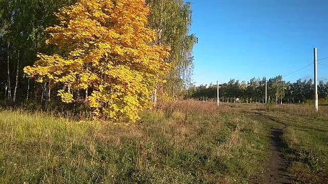 Александр Блок. Осень. смотреть онлайн