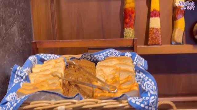 Dubai To Georgia Trip | Best Places To Visit | Georgia Guide | Travel Vlog #georgia #travel смотреть онлайн