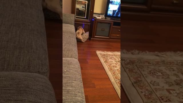 Как плохо живется в холостую ))) смотреть онлайн