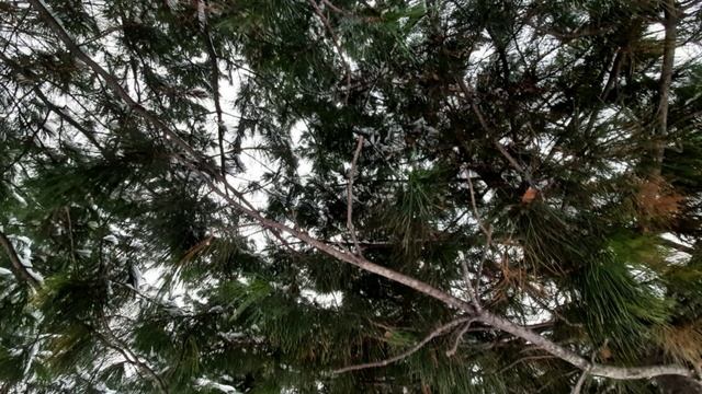 Как рассказать об учение Радугимира. смотреть онлайн