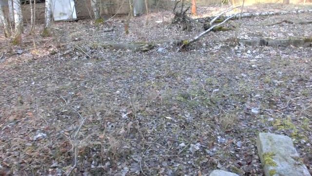ГДР.ГСВГ.Forst Zinna,магазин,гостиница? 9.02.2020 смотреть онлайн
