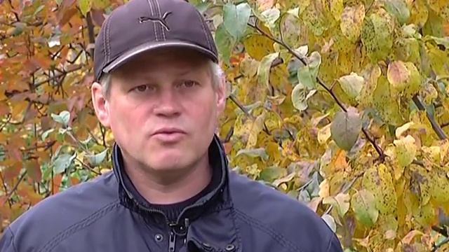 Зелёный участок. Осенняя подкормка деревьев и кустарников смотреть онлайн