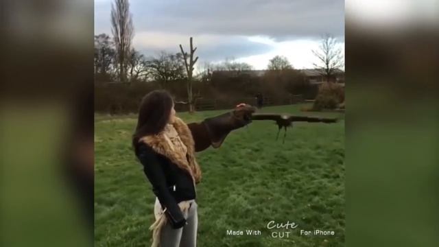 KZ VIDEO #3 Лучшие видео КАЗАХСТАНА! смотреть онлайн