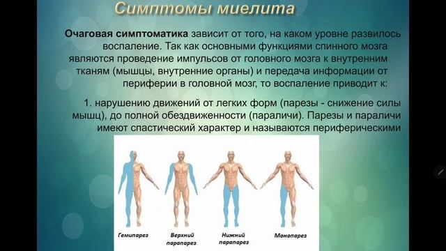 Инфекционные заболевания ЦНС. Миелиты. смотреть онлайн