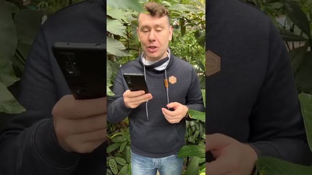 Творчество. Стих собственного сочинения? смотреть онлайн