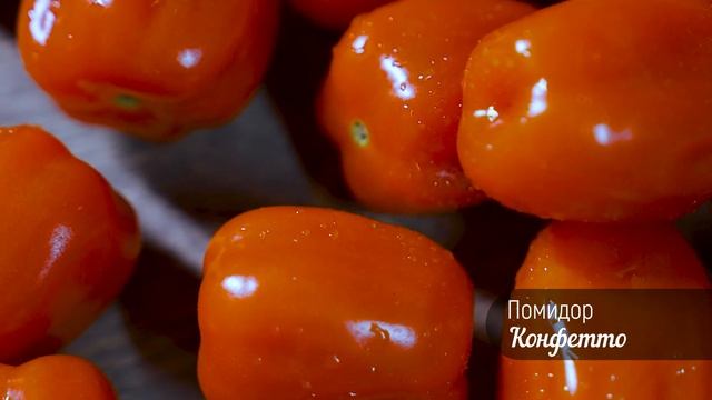 Эксклюзивный десертный томат Конфетто ! смотреть онлайн