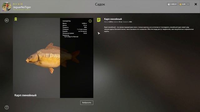 Фарм на тутти - фрутти на озере Янтарное. Трофейный карп. #рр4 смотреть онлайн