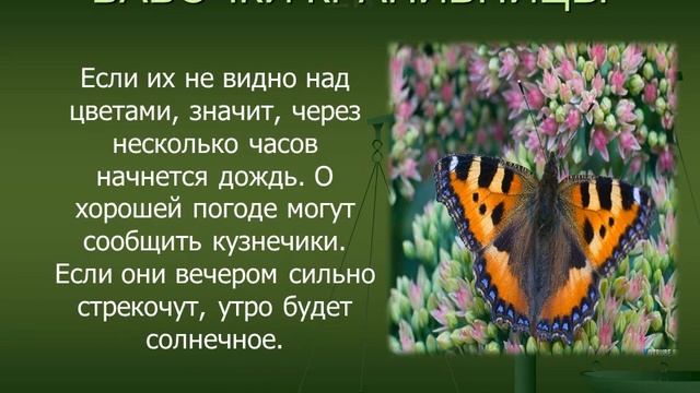 Живые барометры смотреть онлайн