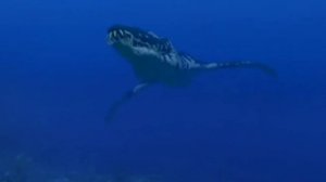 Прогулки с Динозаврами (1999)