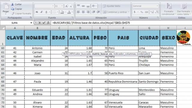 cruce de bases de datos en excel смотреть онлайн