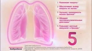 АМБРОБЕНЕ АМБРОБЕНЕ лекпрепарат против кашля тит  на черном КНЦ Сироп от кашля 03112016 3001470h