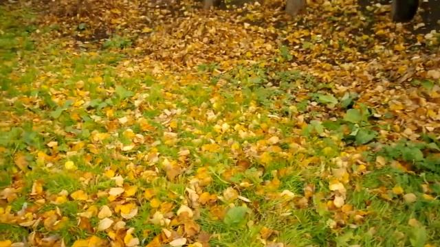 Большое Болдино Нижегородская обзор смотреть онлайн
