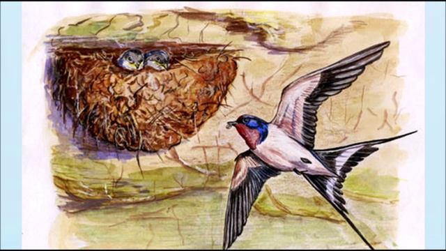 "Перелетные птицы осенью" смотреть онлайн