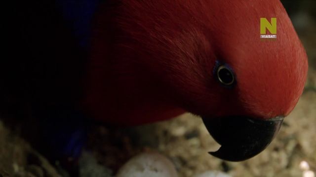 1 смотреть онлайн