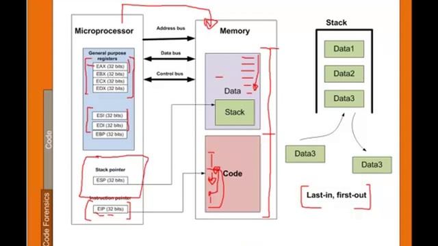 Live Forensics смотреть онлайн
