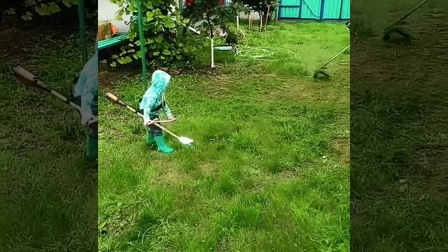 Борьба с одуванчиками! смотреть онлайн