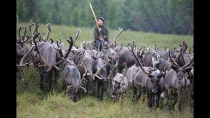 Травматическое оружие.  Законодательство