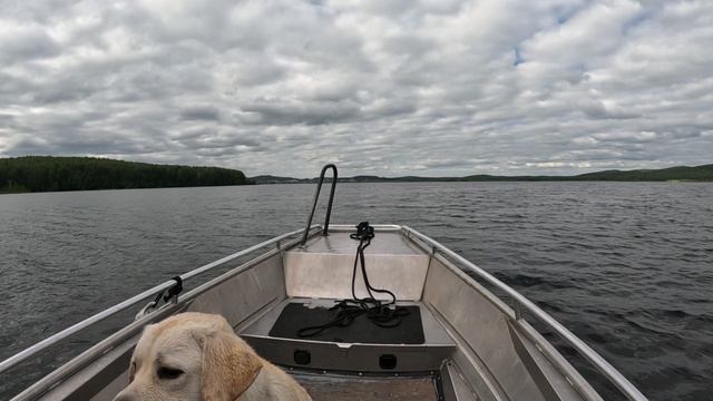 GX010356_1718567045421.MP4 смотреть онлайн