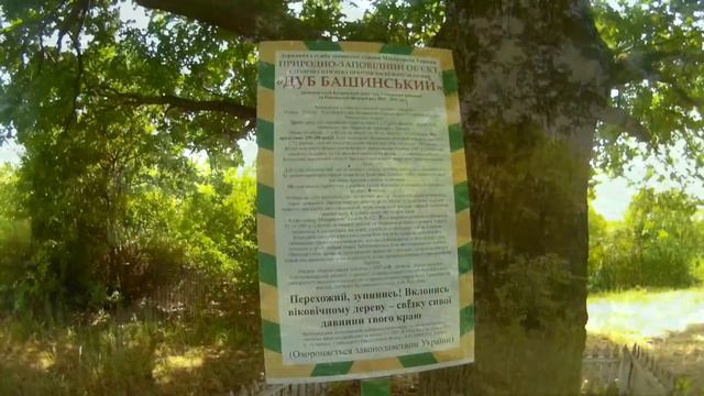 Угільці, Бугрин, Томахів. Частина 2. смотреть онлайн