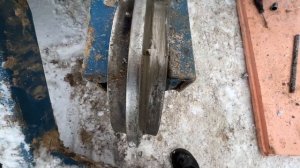 Снимаем ленивца на миниэкскаваторе