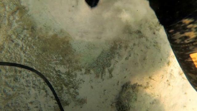 ОЗЕРО МЕЧТА/Поиск золота с системой хука/Underwater Metaldetecting / Hookah System