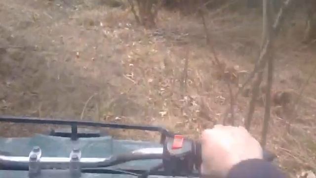 квадрик 150сс 4х4 спуск по лісі. смотреть онлайн
