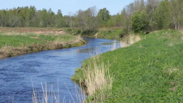 Верховья Коваши. Ветер. смотреть онлайн