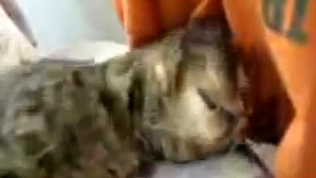 Обычное утро понедельника после выходных смотреть онлайн