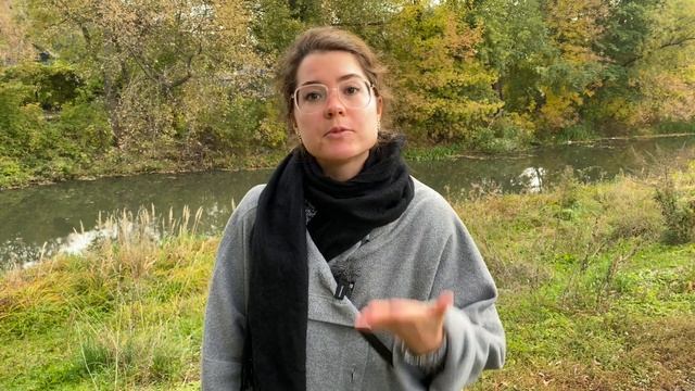 GREEN CARD DV-2023! ПОМОЩЬ В ЗАПОЛНЕНИИ АНКЕТЫ НА УЧАСТИЕ! РЕГИСТРАЦИЯ ГРИН КАРД ДВ-2023! смотреть онлайн