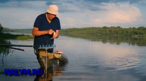 Рыбалка на подмосковной Оке (болонская удочка). Начало июня 2121