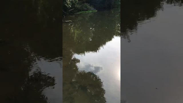 Щучка 0,4 кг на самоделку. Тул.обл, р.Кр.Меча. смотреть онлайн