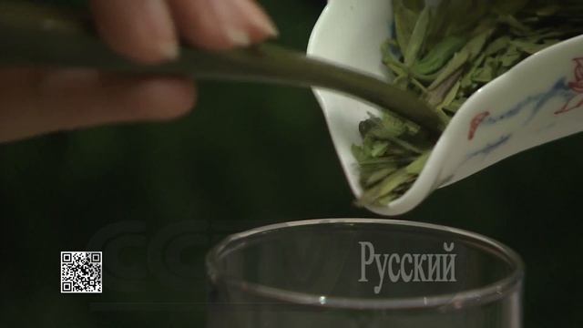 Как заваривать чай лунцзин ВОПРОСЫ И ОТВЕТЫ смотреть онлайн