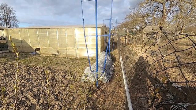 новая шпалера под виноград