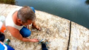 Ловля крабов на самодельные краболовки