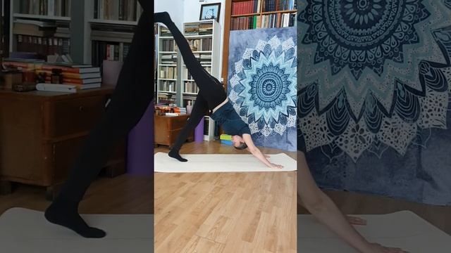 Собака головой вниз с вытяжением ноги #shorts смотреть онлайн