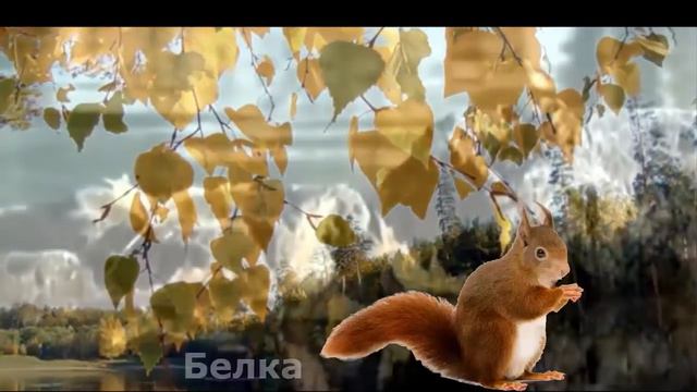 Развитие Ребенка Видео урок 22 для самых маленьких Лесные Звери смотреть онлайн