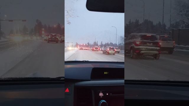 повземо дружно смотреть онлайн