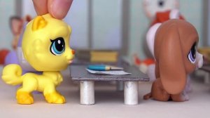 LPS / 3 ШКОЛЬНЫХ ИСТОРИИ / LPS смешная школа