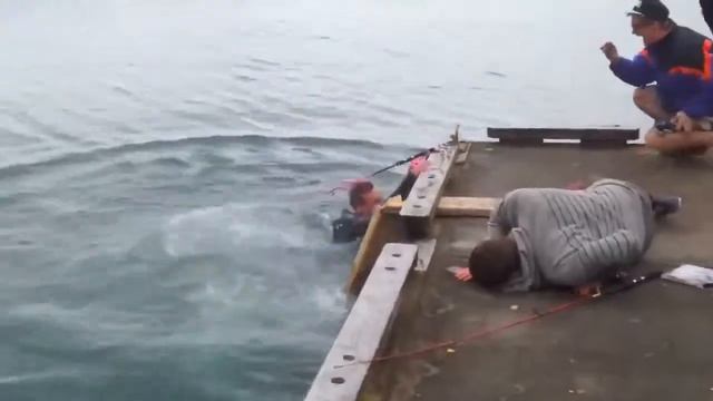 Задорная рыбалка Playful fishing Юмор! Прикол! Смех смотреть онлайн