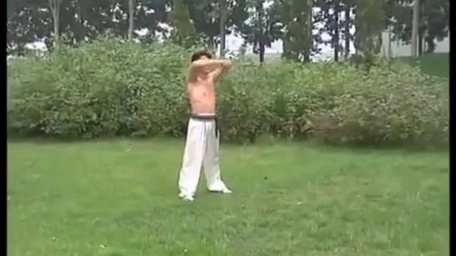 沧州武术.Боевые искусства пров.Цанчжоу.Тунби пигуа,Бацзы,Ча цюань,Чоцзяо,Фаньцзы. смотреть онлайн