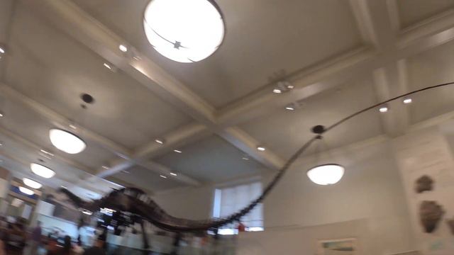 didiVLOG34/New York/American Museum of Natural History смотреть онлайн