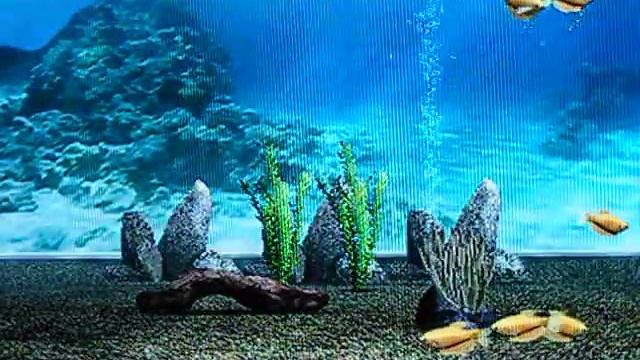 My Aquarium Wii смотреть онлайн