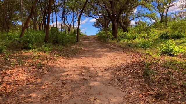 Liberia, Costa Rica 2021 смотреть онлайн