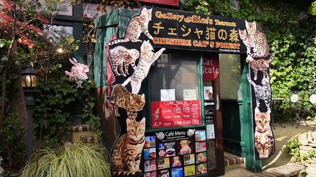 Fukuoka Day Trip: YUFUIN FLORAL VILLAGE Japan Travel Itinerary